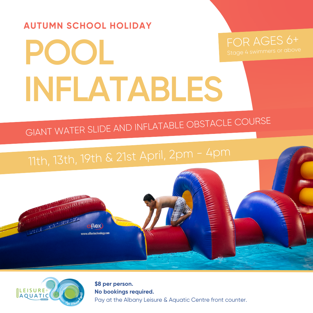 Pool Inflatables