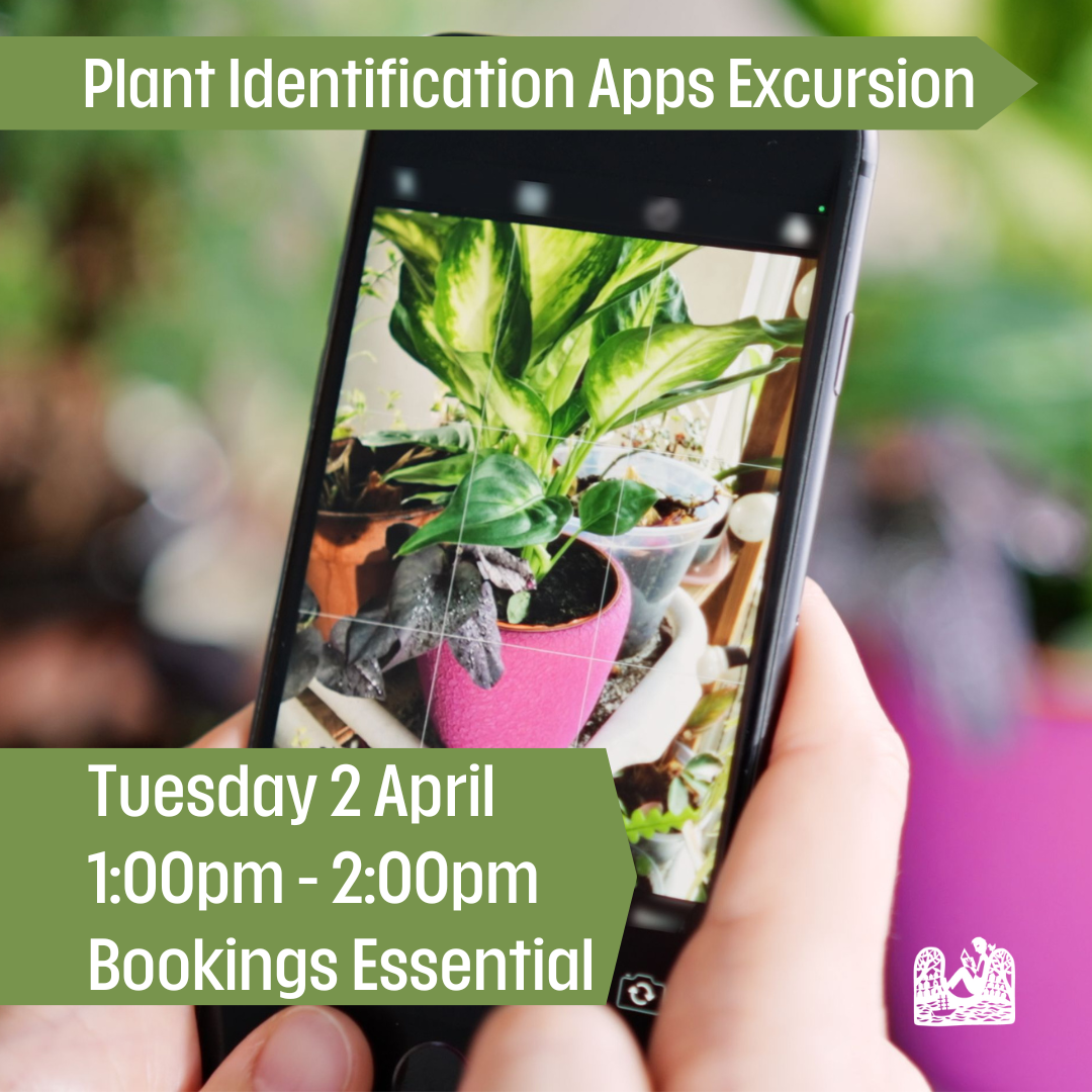Image shows two hands holding a mobile phone with the camera viewfinder showing a houseplant in a pink pot.
