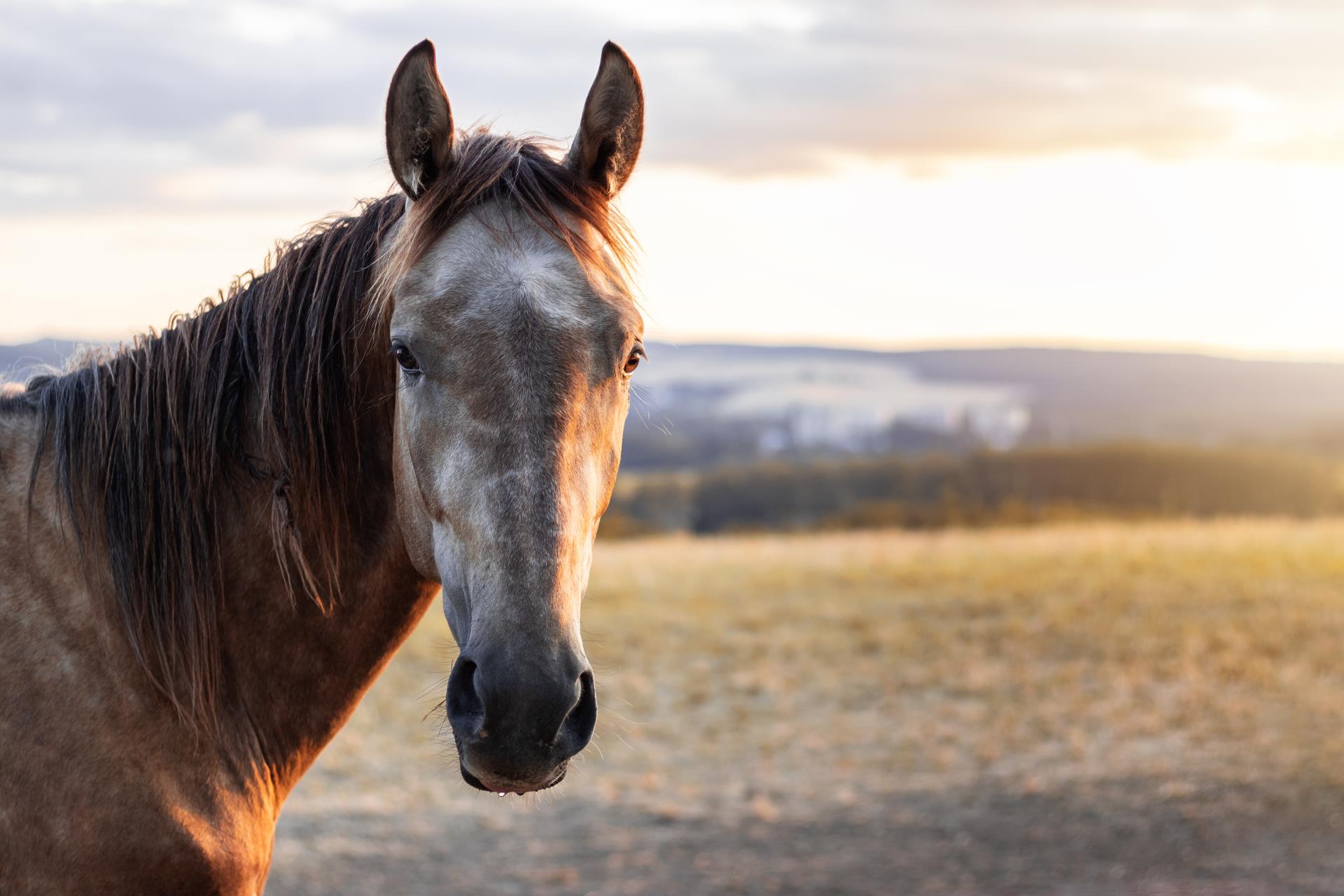 Enhanced safety on Stidwell Bridle Trail